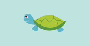 73 Must-Sea Turtle Gifts For Turtle Lover Shellebrations